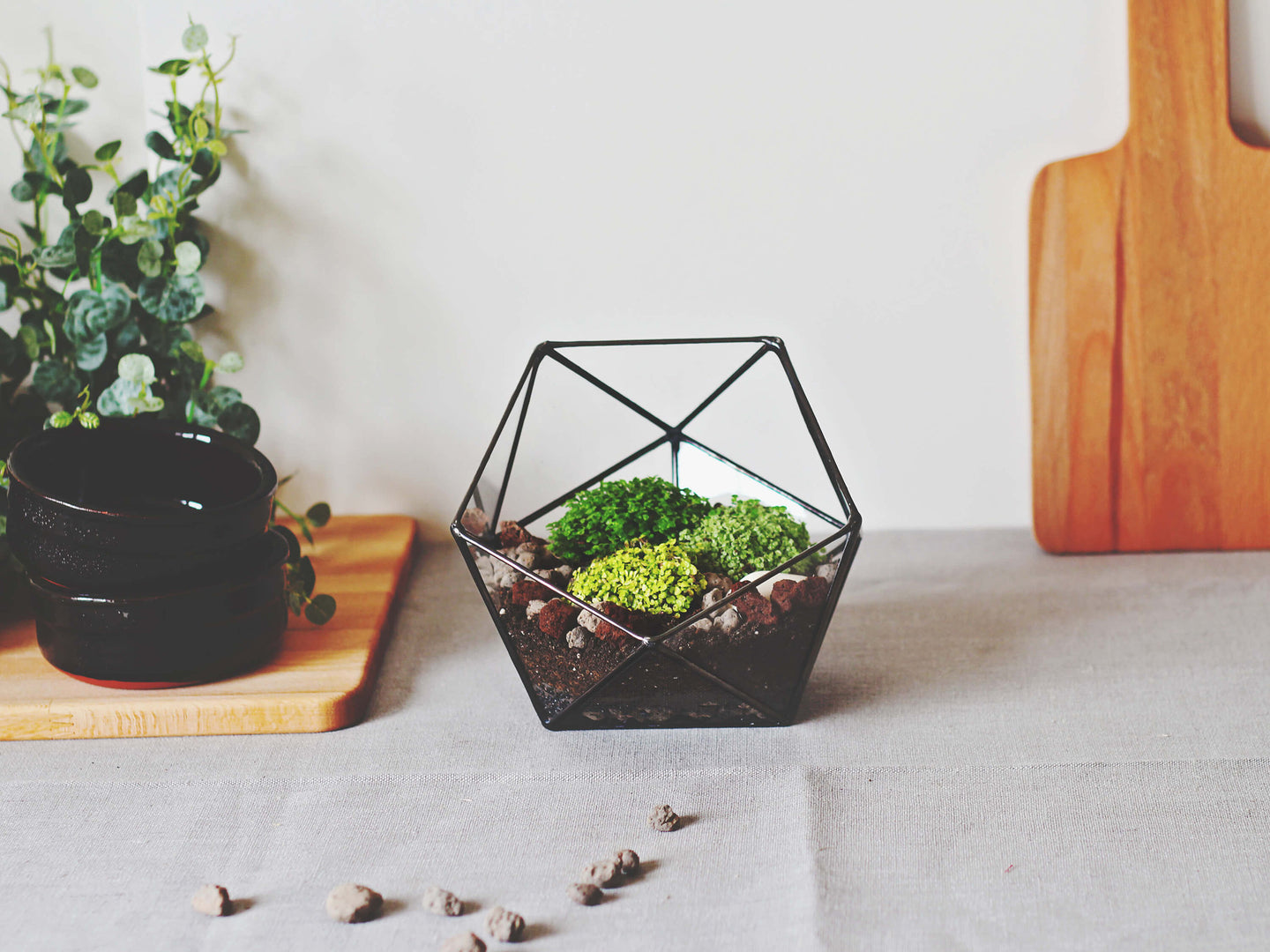 geometric indoor planter