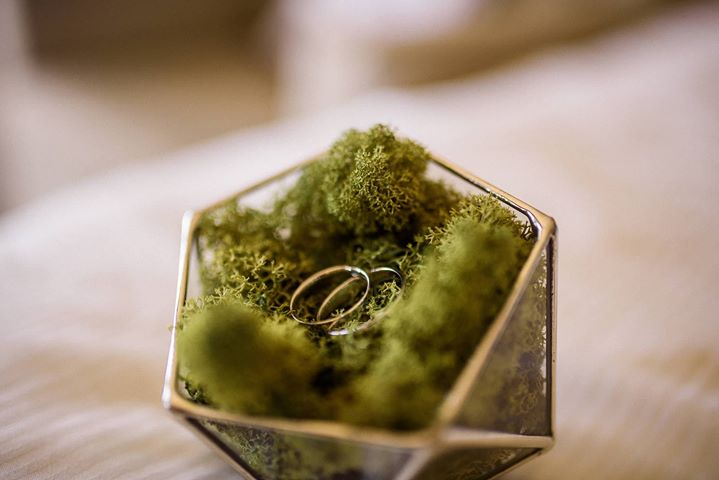 ring box with moss