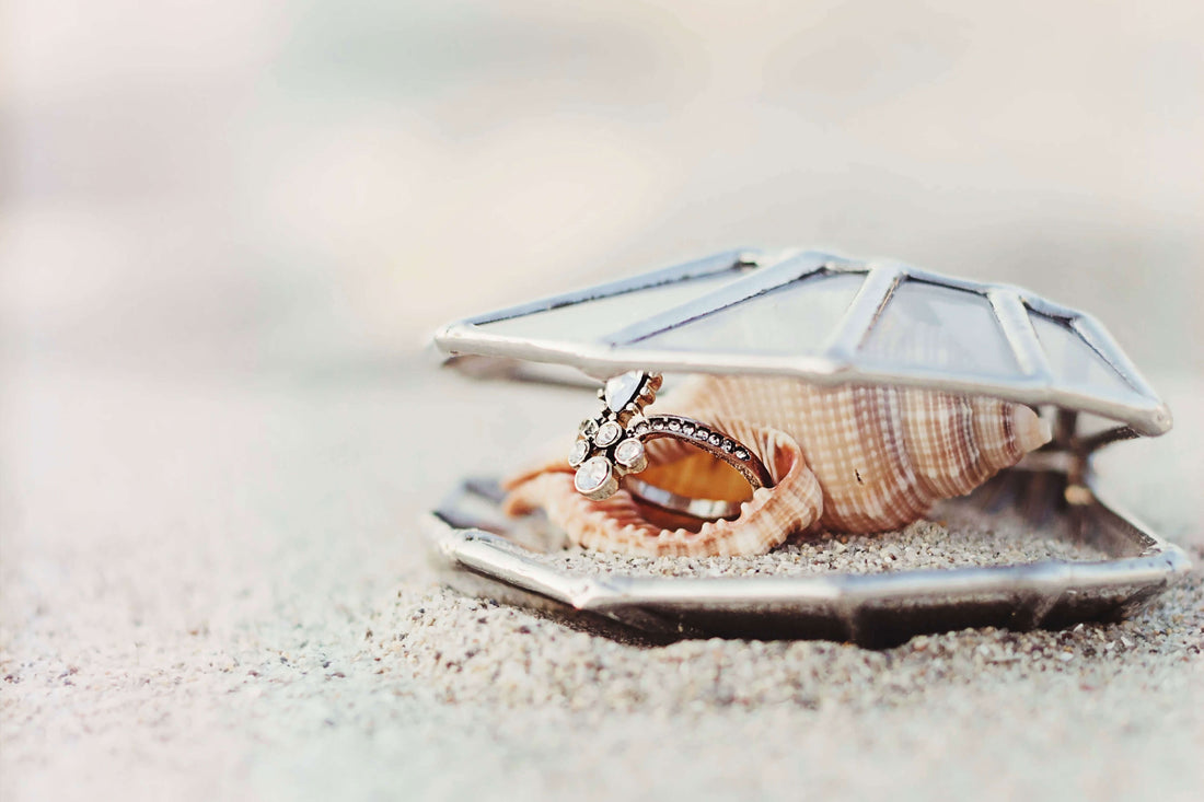 New Organics by Waen | Seashell Ring Box Collection