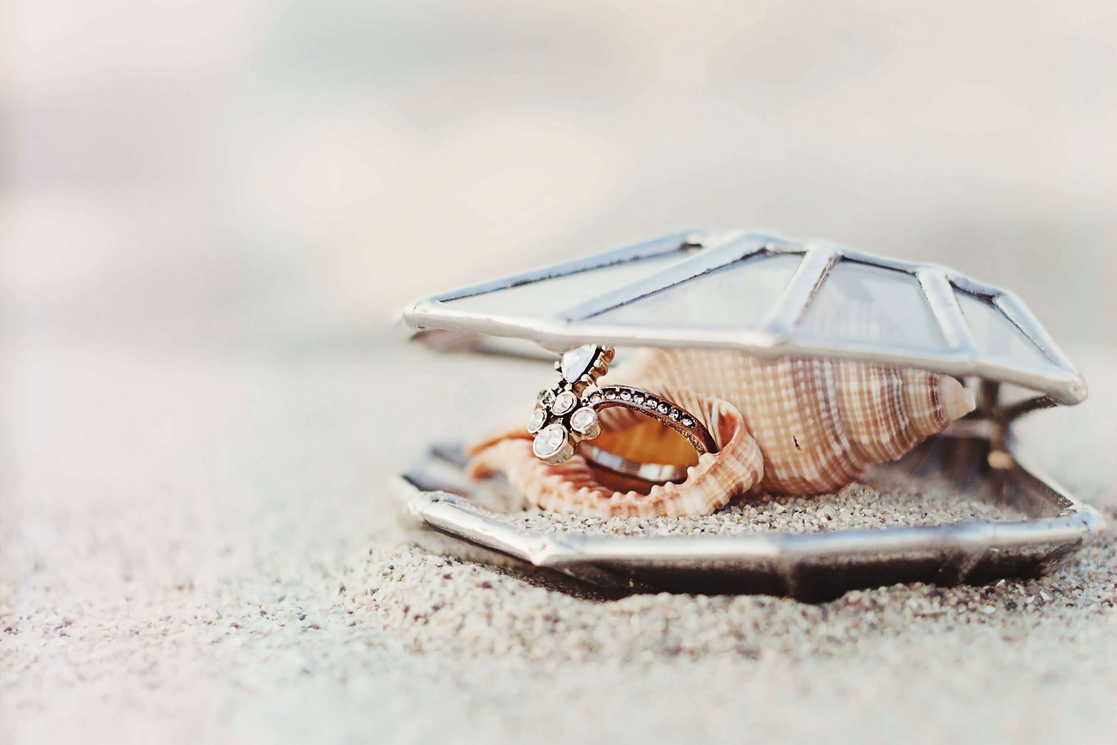 New Organics by Waen | Seashell Ring Box Collection