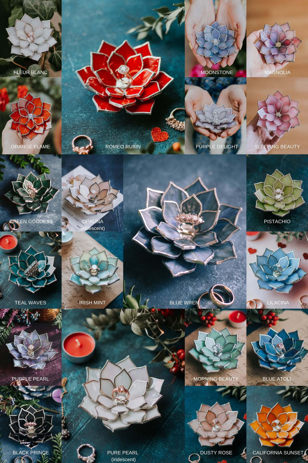 succulent-color-chart