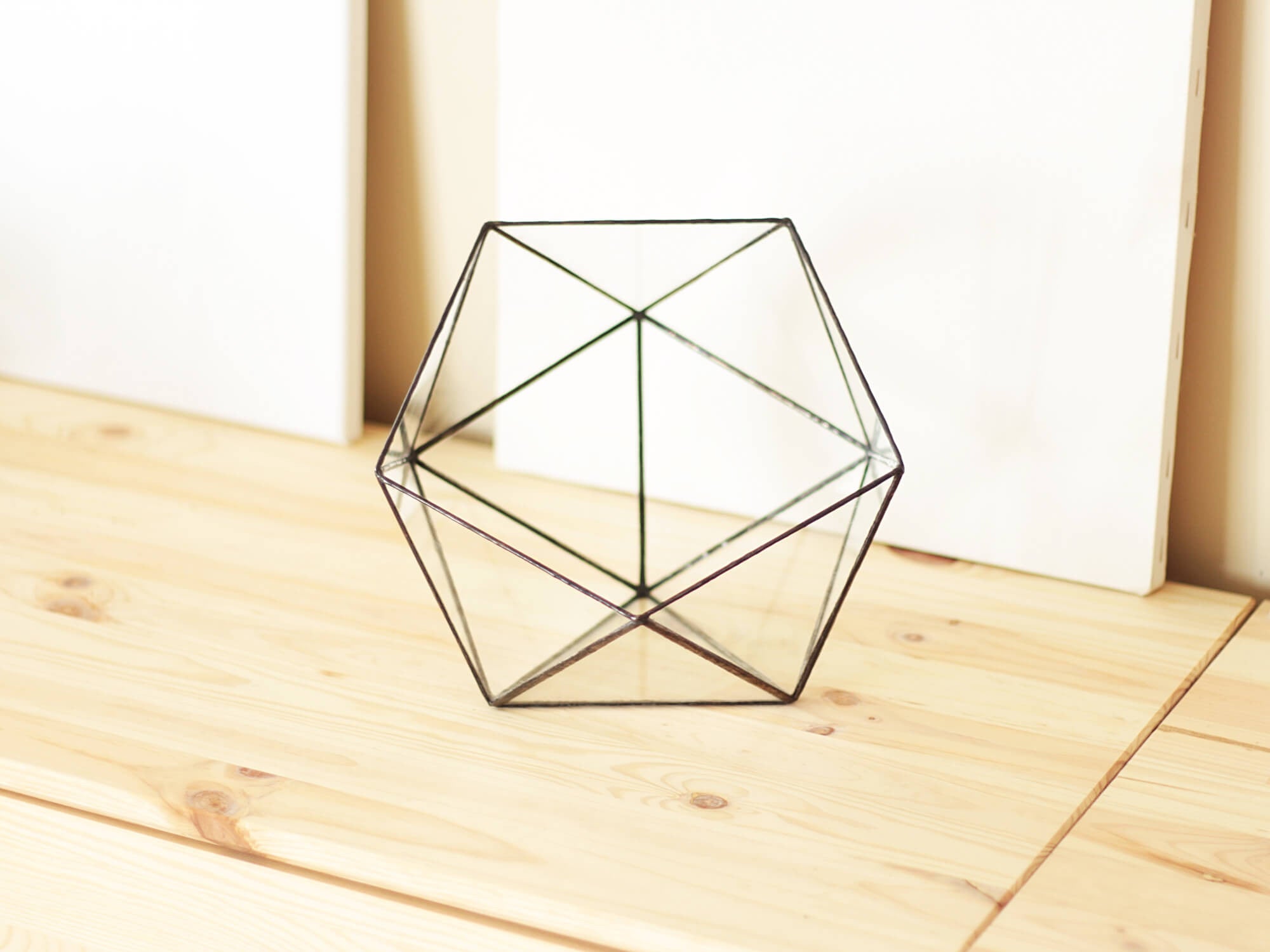 Large Geometric Terrarium Container | Icosahedron by Waen