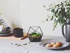 geometric planter