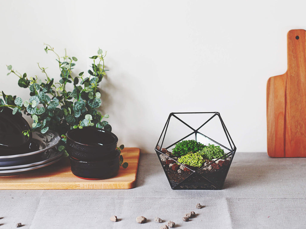 geometric planter