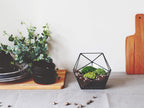 geometric planter