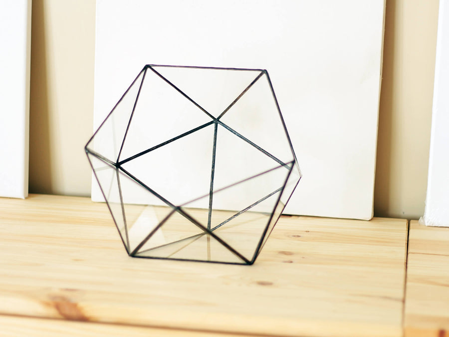 icosahedron terrarium