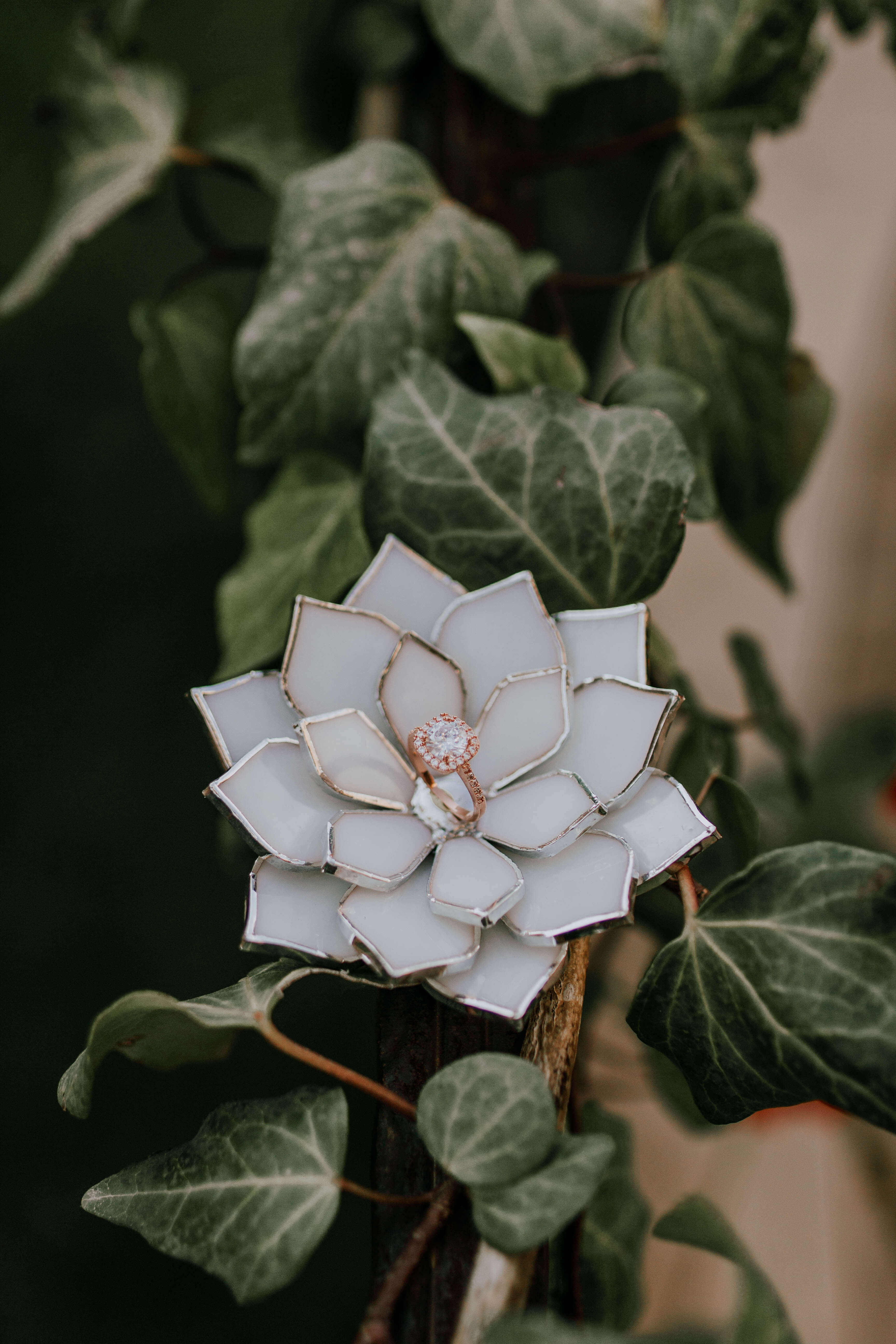 Glass Succulent Wedding Ring Bearer Pillow Alternative by Waen