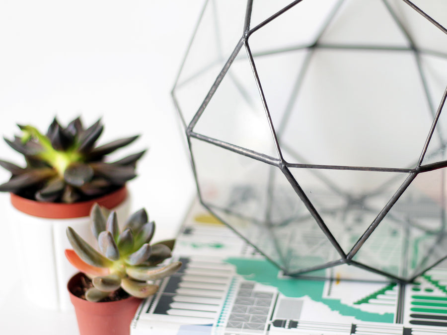 Large Glass Geometric Terrarium Container | Icosidodecahedron