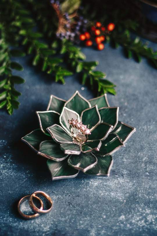 Glass Succulent Wedding Ring Bearer Pillow Alternative by Waen